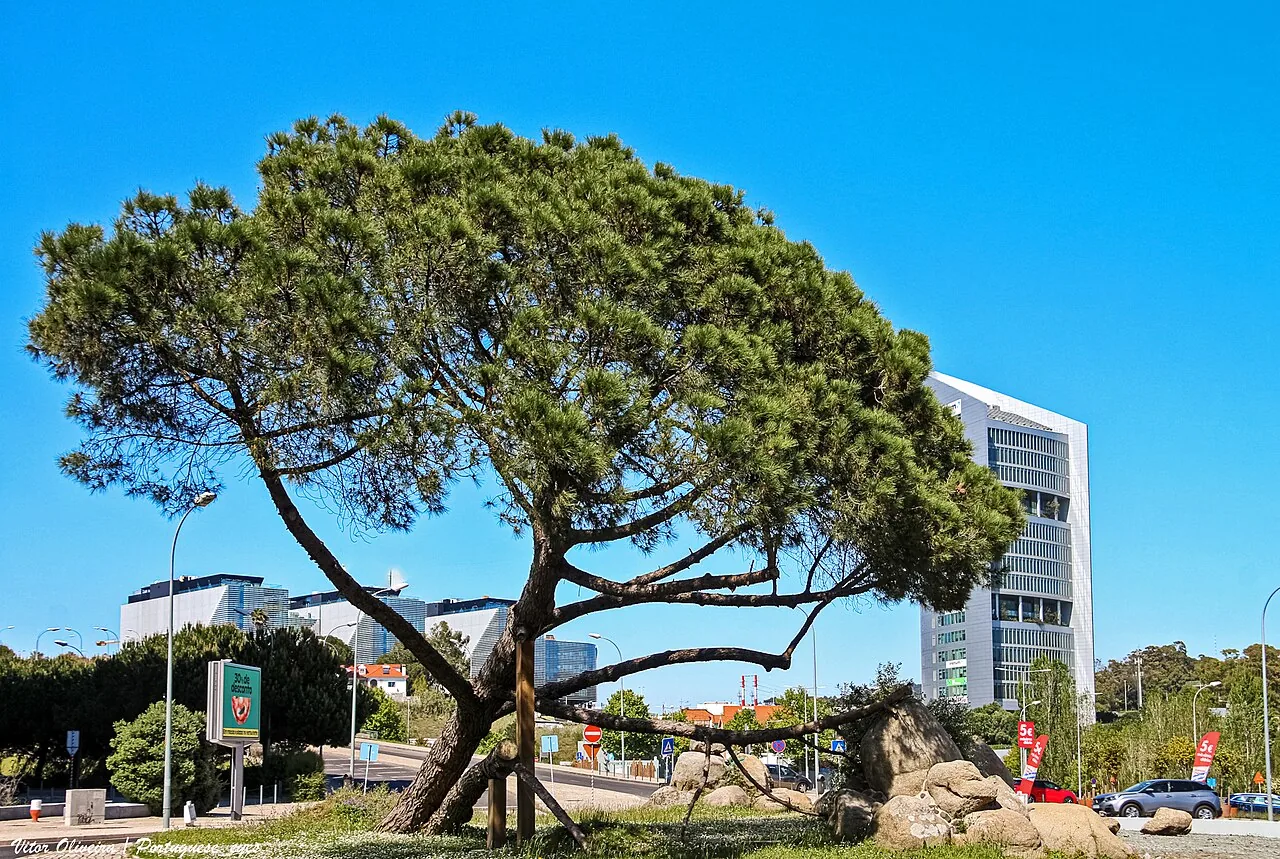 Paisagem urbana de Miraflores, Oeiras